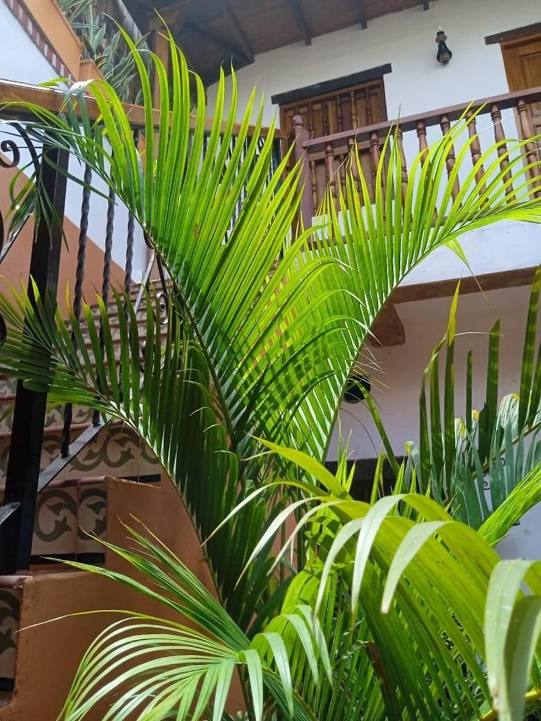 Casa Belia