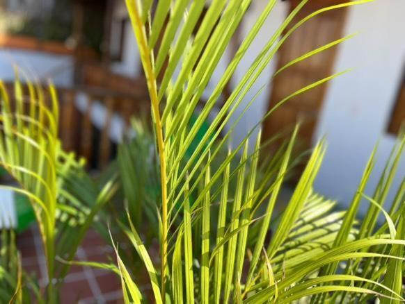 Homestay Casa Belia Cartagena